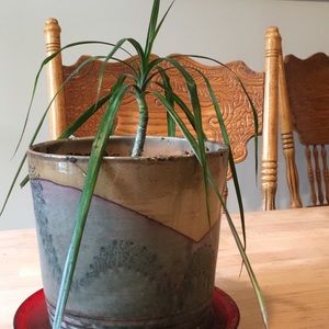 Meet your Posher, Tera